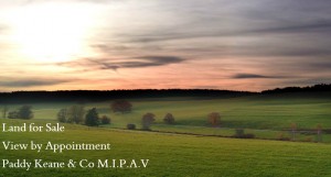 Land